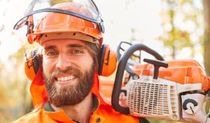 Citrus Heights Tree Service