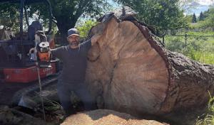 Flow State Tree Works