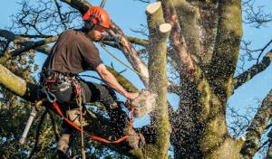 All American Plumbing & Septic Services