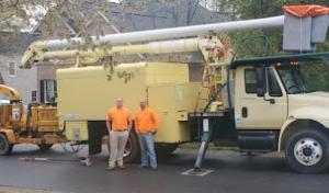 Out On a Limb Tree Service