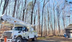 All Seasons Tree Service