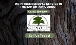 Green Valley Tree Service