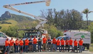 Greenvale Tree Company