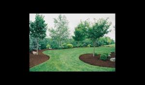 Affordable Septic & Sewer Services & drain clearing
