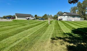 Elite Landscape & Mini Excavation