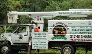 TIE Tree Service
