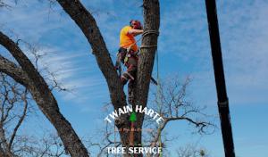 Twain Harte Tree Service