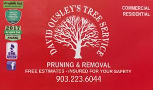 David Ousley's Tree Services