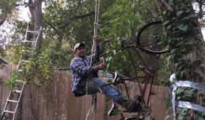 Carbajal Tree Service