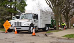 LaRoche Tree Service