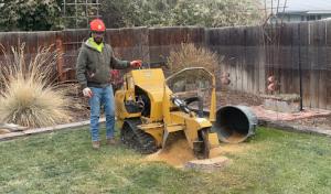 Duran’s Tree Service