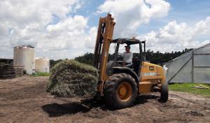 Tezna Landscaping, Trees & Pavers