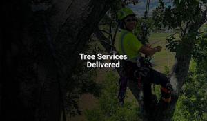Barrett Tree Service East