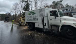 Mendez Tree Services