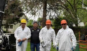 Mulheron Tree Experts