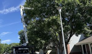 Monster Tree Service of North Metro Denver