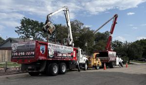 Arbor Doctor Tree Service