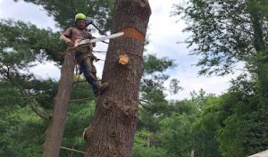 Parker Environmental Services