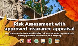 Jesses tree Consulting arborist services