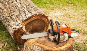Discount Tree Cutting & Removal