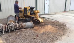 To The Top Tree Service