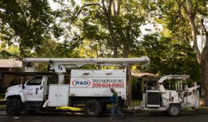 Davis Septic Tank Services