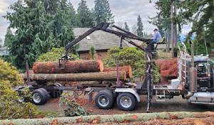 Allgood Sewer & Septic Tank Service