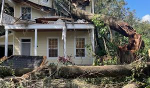 Hawthornes Tree Service Lakeland FL