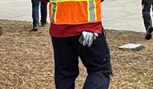 Gomez Landscape & Tree Care