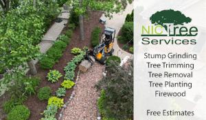 Nic Tree Services