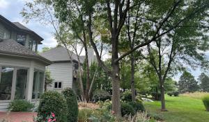 Arbol Tree Services