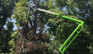 Cannonball Bobcat & Tree Service