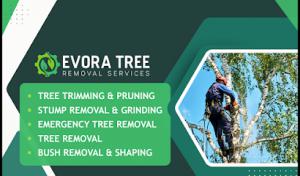 Evora Tree Removal Services