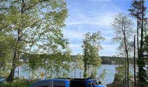 Serious Tree Services