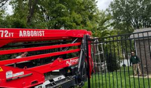 All Points Tree Service