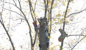 AMPM Property Maintenance