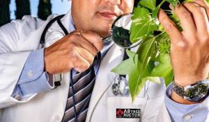 AB Tree Doctor