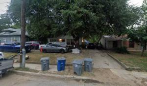 BW Insect Control & Tree Care