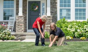 The Davey Tree Expert Company