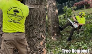 Garcia Tree Services
