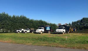 Cassello Tree Service