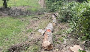 Septic Works