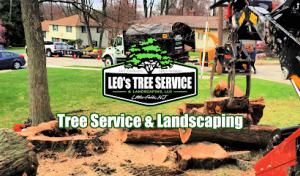 Leo’s Tree Service