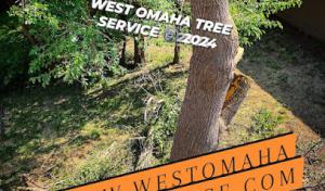 West Omaha Tree Service