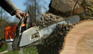 Ferndale Tree Care Service