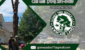 Gomez Tree Service