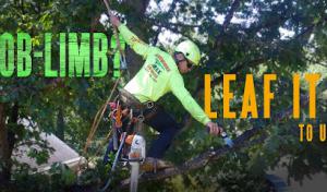 Arbormax Tree Service