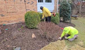 Presto Plumbing & Septic Tank Pumping