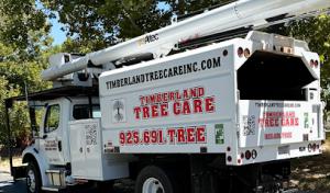 Timberland Tree Care