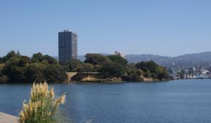 Tree Service Oakland